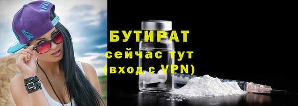 шишки Осташков