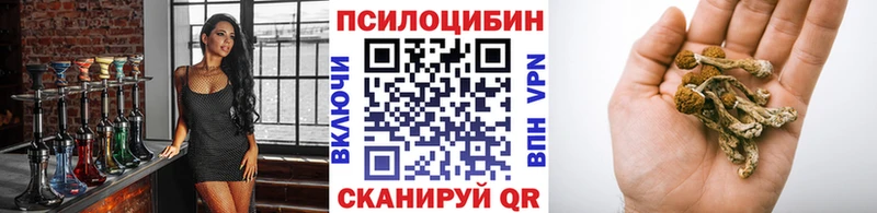 Псилоцибиновые грибы MAGIC MUSHROOMS  мега tor  Дятьково  как найти наркотики 